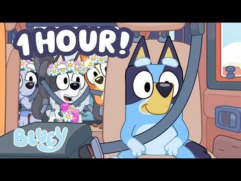 Flower Girl Road Trip 🌸 🚗 | The Sign Moment + 60 MINUTES of Bluey Clips 💙 | Bluey