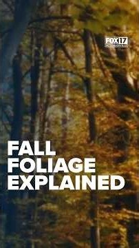 What makes fall leaves turn red, orange, and gold? Here's the science.
