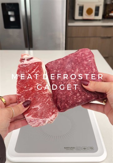 Amazon kitchen gadget🥩 The fastest way to defrost your meat! It comes with a 10-40 minute timer that you can set depending on the thickness of the meat. #amazonfinds #asmr #food #gadgets #fyp