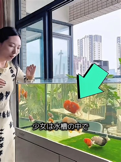少女は妊娠した魚を心を込めて世話しました！🐟