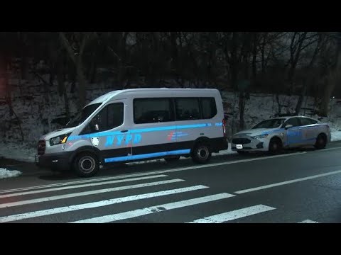 15-year-old girl sexually assaulted in Central Park