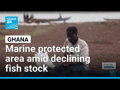Ghana declares marine protected area amid declining fish stock • FRANCE 24 English
