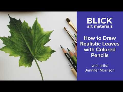 How to Draw a Realistic Leaf with Colored Pencils | Step-by-Step Process