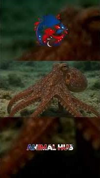 Masters of problem-solving