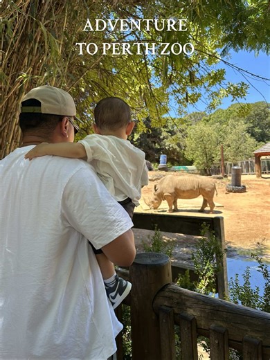 Part 38 | such a good day exploring Perth Zoo! Minus the food bill shock 😂 but honestly the food is really yum there so it is what it is 🧡