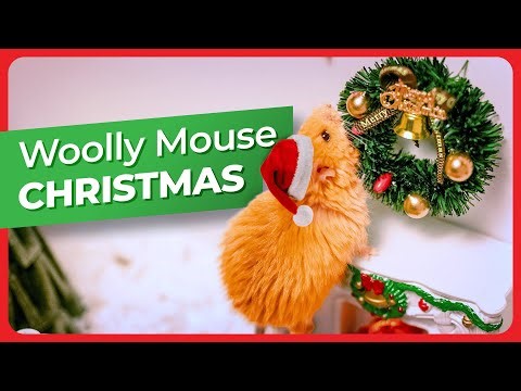 A Woolly Mouse Christmas Story