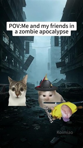 CAT MEMES🐱Me and my friends in a zombie apocalypse #catmemes #memes #funnymemes #funny #foryou