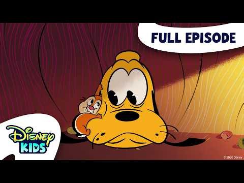Dog in the House / Cone Alone / Highway to Hugs | Chip 'n' Dale: Park Life S1 E5 | @disneykids