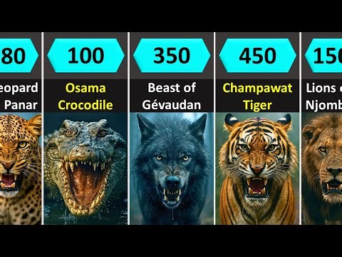 Deadliest Man-Eaters in History (Animals That Hunted Humans)