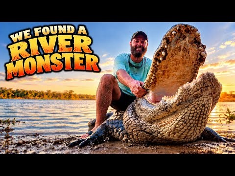 We Caught A RIVER MONSTER! (Big Alligator)