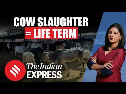 Gujarat Session Court Cites Manusmriti To Give Life Imprisonment To Three Men In Cow Slaughter Case