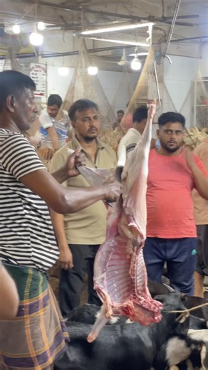 Excellent Goat Processing for Eid 2026