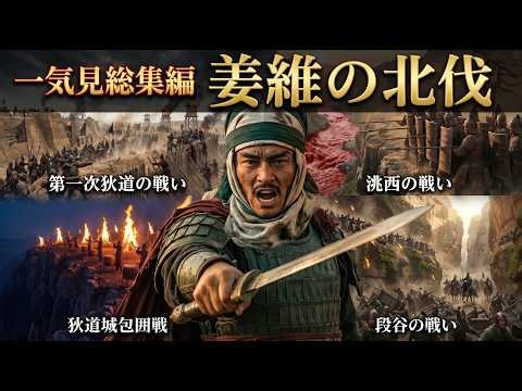 【一気見】諸葛亮亡き後の姜維の北伐・四大決戦を徹底解剖｜賛否分かれる小国・蜀の北伐を分析・考察
