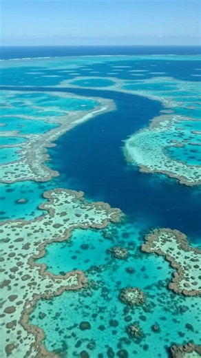 #greatbarrierreef #hamiltonisland #queensland #travel #exploreaustralia #tourism