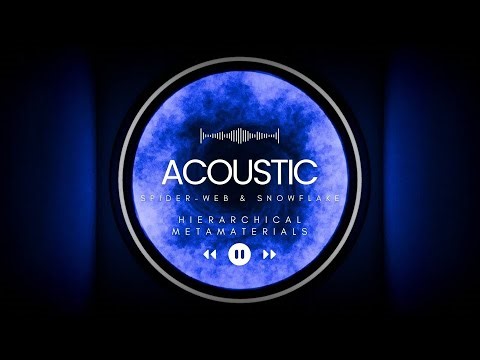 TUNABLE BANDGAPS IN SPIDER-WEB AND SNOWFLAKE HIERARCHICAL METAMATERIALS