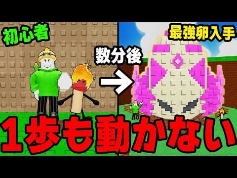 初心者が一歩も動かずに"卵を盗む"で最強になれる方法教えます【ロブロックス】(Roblox)
