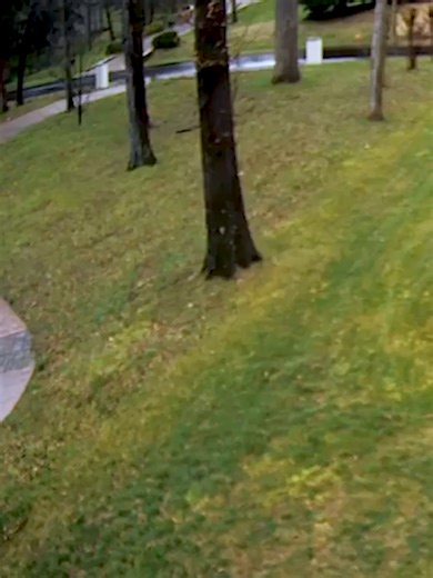 Essential Rules for Effective CCTV Usage