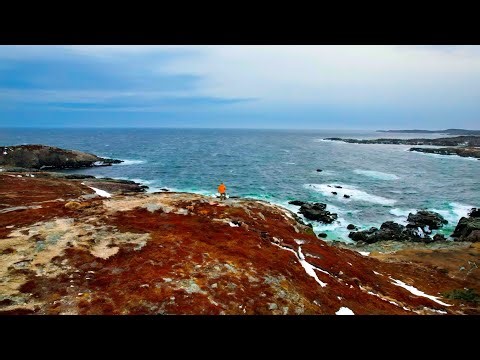 4K Landscape Scenery - Camping On Canada’s Coastline and Forest