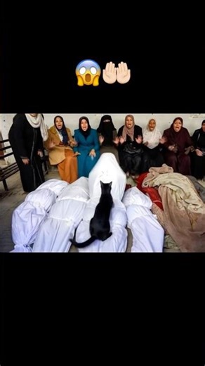 ما كان ساكنًا تحرك والكفن يرتفع كأن السرّ عاد jin# لينكشفenglish #asmr# اكسبلور 🤲🏻😱