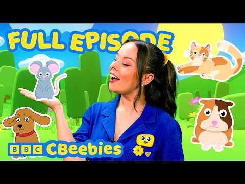 Learn All About Pets | Learning Fun For Kids | CBeebies House 🐶🐱🌈