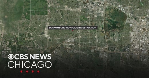 Man arrested after woman found strangled in Schaumburg home