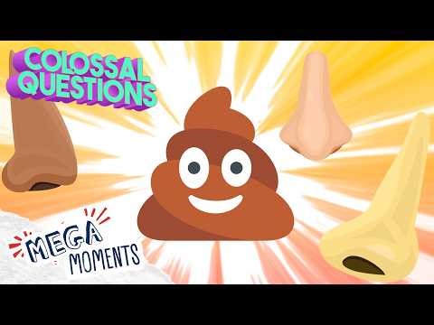 Why Does Poop Stink! 💩 | Colossal Questions | Science for Kids 🧬 | Mega Moments