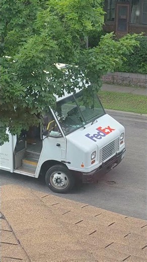 FedEx Driver Did WHAT? Delivery Footage Raises Big Questions Are Packages Safe