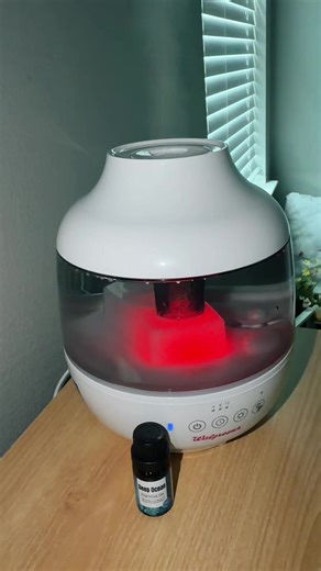 Invigorate Your Space with Essential Oil Scents