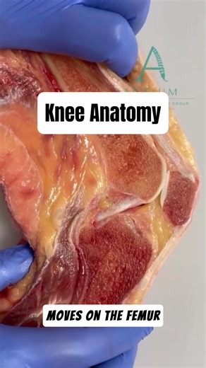 New year, new skills! Take your ACL knowledge to the next level — from injury prevention to return-to-sport decision-making.⁠ ⁠ Join knee experts Lee Herrington and Sebastiano Nutarelli in the Management of ACL Injuries course on Trust Me-Ed 🦵⁠ 🎥: @actiumanatomy | Trust me, I'm a Physiotherapist