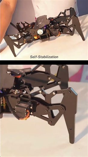 Adeept DarkPaw Bionic Quadruped Spider Robot Kit for Raspberry Pi #robot #robotics #Raspberry Pi