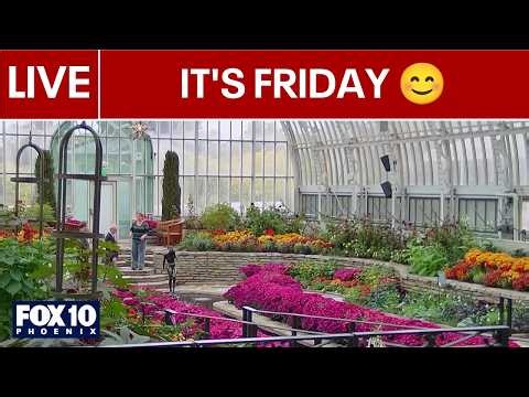 🔴LIVE: WEBCAMS around the world | October 9 | FOX 10 Phoenix