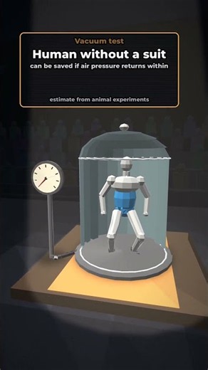 Vacuum without a suit: you or a water bear?