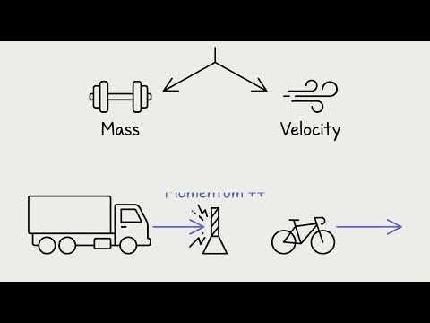 What is momentum and how do collisions work?