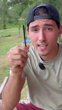 Treehouse + cable railing = perfect combo 👀🌲