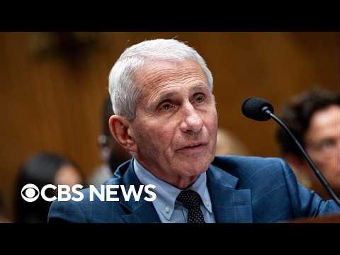 Democratic, Republican strategists share takeaways from Fauci hearing