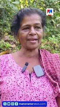 ഉറങ്ങാന്‍ പറ്റിയില്ല: ഒരുകണക്കിനാ നേരം വെളുപ്പിക്കുന്നത്; ചെറുപുഴയിൽ കാട്ടാനക്കൂട്ടം