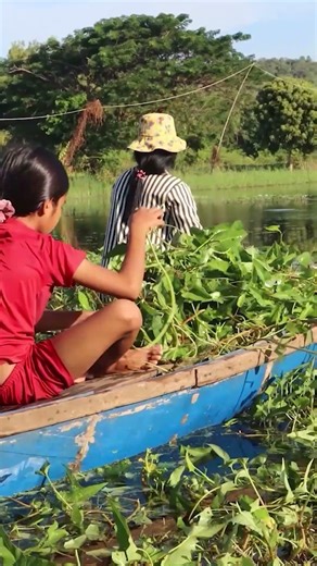 Daily Cambodian Life in the Village| | Khmer Lifestyle [ Khmer rural post ]