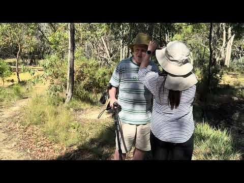 Detector noise reduction experiment on a monster reworked GPX-4500