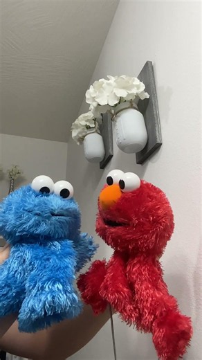 Elmo and Cookie Monster Act Like Each Other