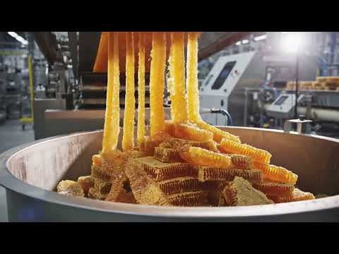 Most Satisfying Modern Production Line | Hypnotic Manufacturing: Pure Honey Extraction