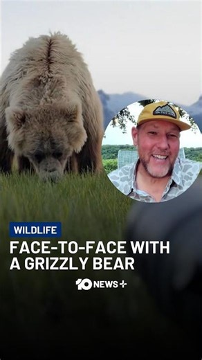 He Was Just Two Feet From A Wild Grizzly | 10 News+