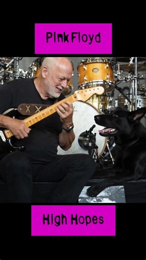 Pink Floyd – High Hopes 🌄 | The Song That Feels Like a Memory| #pinkfloyd #sydbarrett #davidgilmour