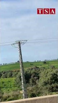 Algérie : des paysages verdoyants en ce début de printemps