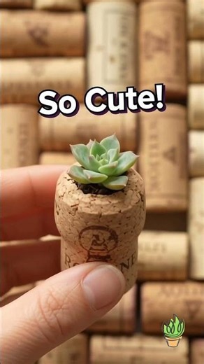Stop Buying Expensive Pots! 5 Creative Upcycled DIY Planters for Succulents 🪵🪴💡
