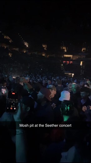 Moshpit at Seether concert #fyp #moshpit #seether #concert