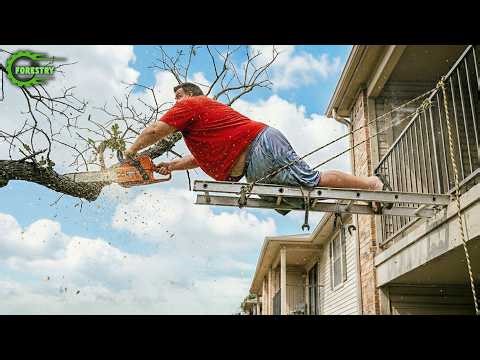 Idiots With Chainsaws: Tree Cutting Fails | Extreme Dangerous Logging Truck Fails #39