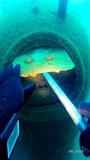 Rare and Unidentified Creature Captured in Camera #diving #deepsea #shorts