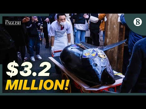 $3.2 MILLION Tuna?! You Won’t Believe What Happened in Japan | The Business Standard