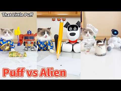 Too Cute to Handle! 🐱💖 Puff vs Robot Alien 🤖👽| That Little Puff