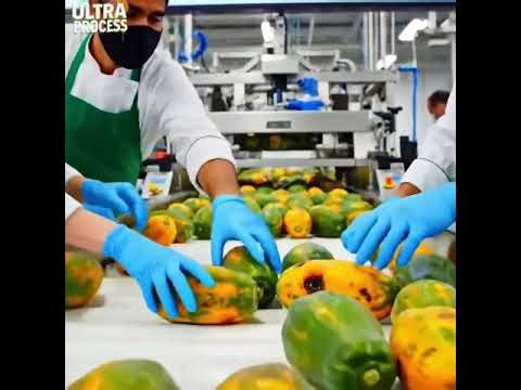 Is Papaya Juice the Secret to Boosting Your Immune System?